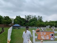 -杭州湾海上花田景区