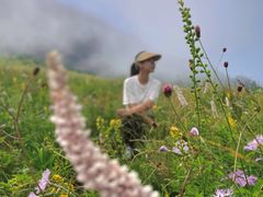 -白草畔自然风景区