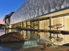 -罗红摄影艺术馆