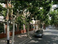 -上海市黄浦区卢湾第一中心小学