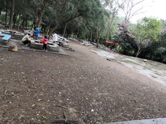 -南宁良凤江国家森林公园