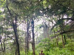 -沈阳辉山风景区