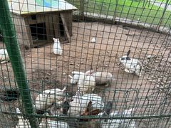 -杭州香格里拉·香宫中餐厅
