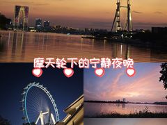-金鸡湖景区