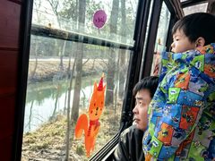 -合肥滨湖国家森林公园