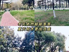 -中央公园(苏州工业园区)