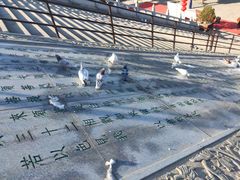 -龙口南山旅游景区