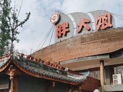 -胖大姐黄辣丁鱼庄(新津店)