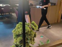 -宏宴·新京菜(望京店)