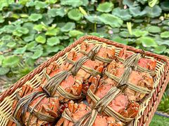 -七的湖·晚芳亭·阳澄湖农家菜·大闸蟹(莲花岛店)