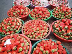 -江杨农产品批发市场