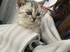 -北京赛佳动物医院