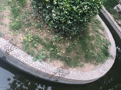 -卫鼎轩·曹公馆(鼓楼店)
