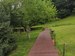 -棒棰岛宾馆景区