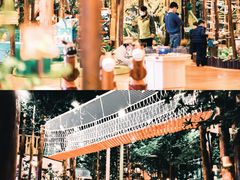 -黄海国家森林公园