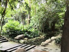 -成都市活水公园