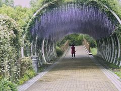 -同里国家湿地公园