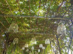 -武汉紫薇都市田园