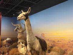 -陕西自然博物馆