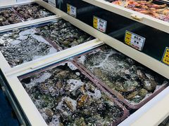 -西归浦每天偶来市场