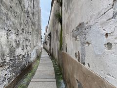 -乌镇东栅景区