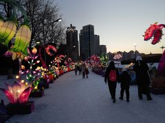 -沈阳奥体冰雪嘉年华