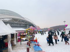 -沈阳奥体冰雪嘉年华