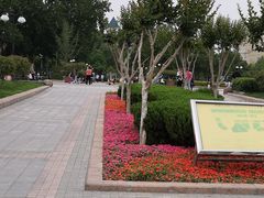 -洪家楼教堂
