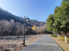-灵岩山风景区