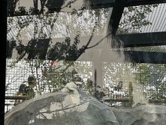 -武汉动物园