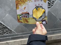 -潭柘寺景区