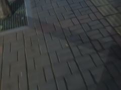 -呱呱抓鸭记(汝州大时代店)