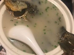 鲫鱼奶汤-建国328 本帮小馆·面馆