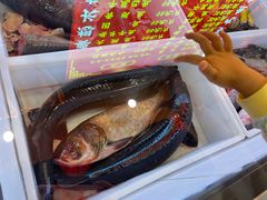 -江湖水乡铁锅炖魚(周庄嘉园店)