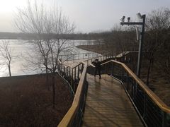 -东郊湿地公园