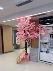 -南京康美美容医院·旗舰店