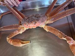 -綱元·海鲜豆捞(明州里店)