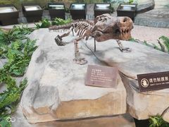 -自贡恐龙博物馆