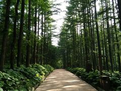 -洛阳白云山景区