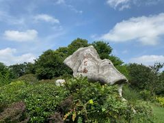 -桃花岛景观公园