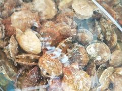 -晓伟海鲜家常菜