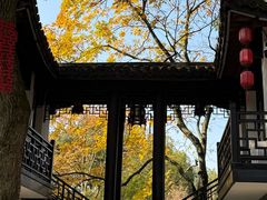-杭州黄龙洞