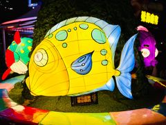 -海合安成都极地海洋公园