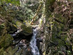 -藏龙百瀑风景区