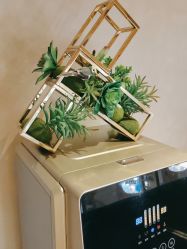 -熙朵美学植发连锁