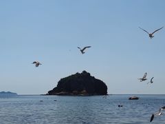 -棒棰岛宾馆景区