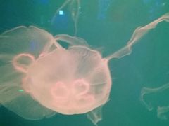 -华夏文旅西安度假区