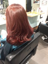 -东方麒麟·潘多拉SALON