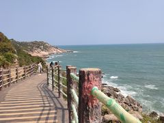 -广东惠东海龟国家级自然保护区