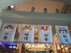 -猫咪博物馆(顶澳仔猫街店)